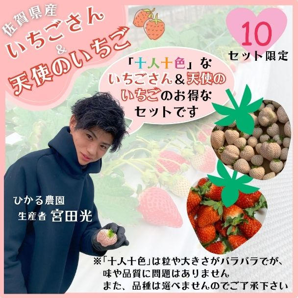 新しいリターンが出ました